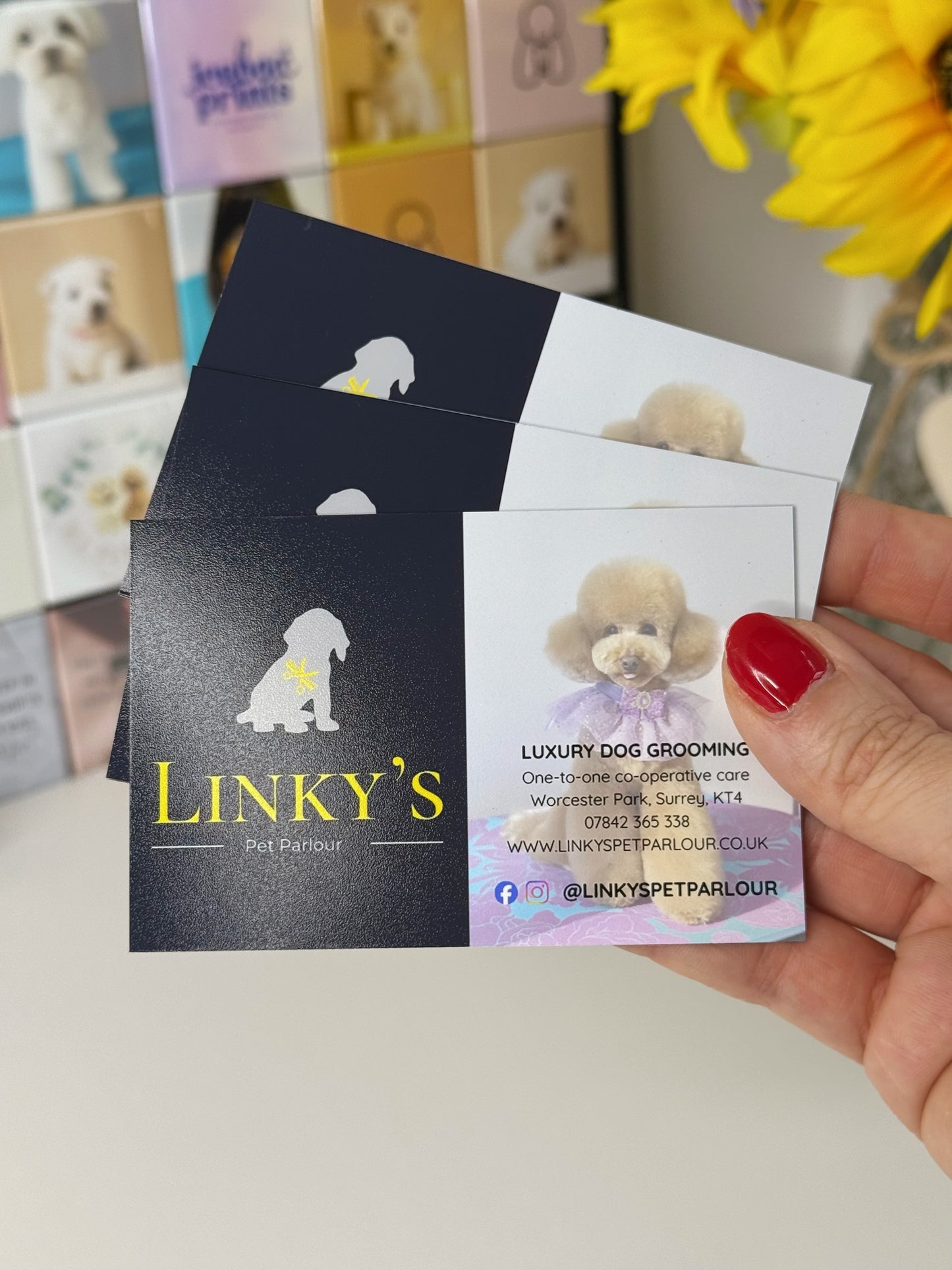 Business Cards Vinyl Magnets (2.5x4)