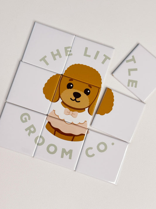 Puzzle Magnets